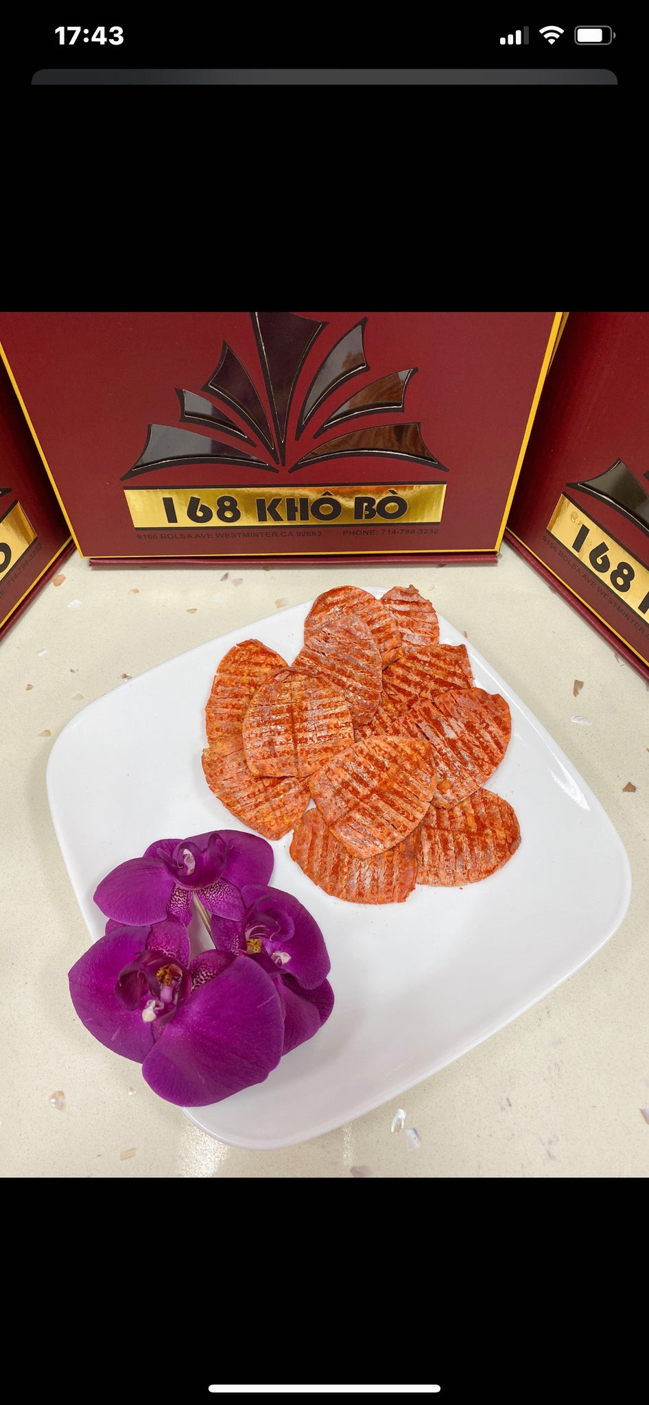 Mực con Không Đầu