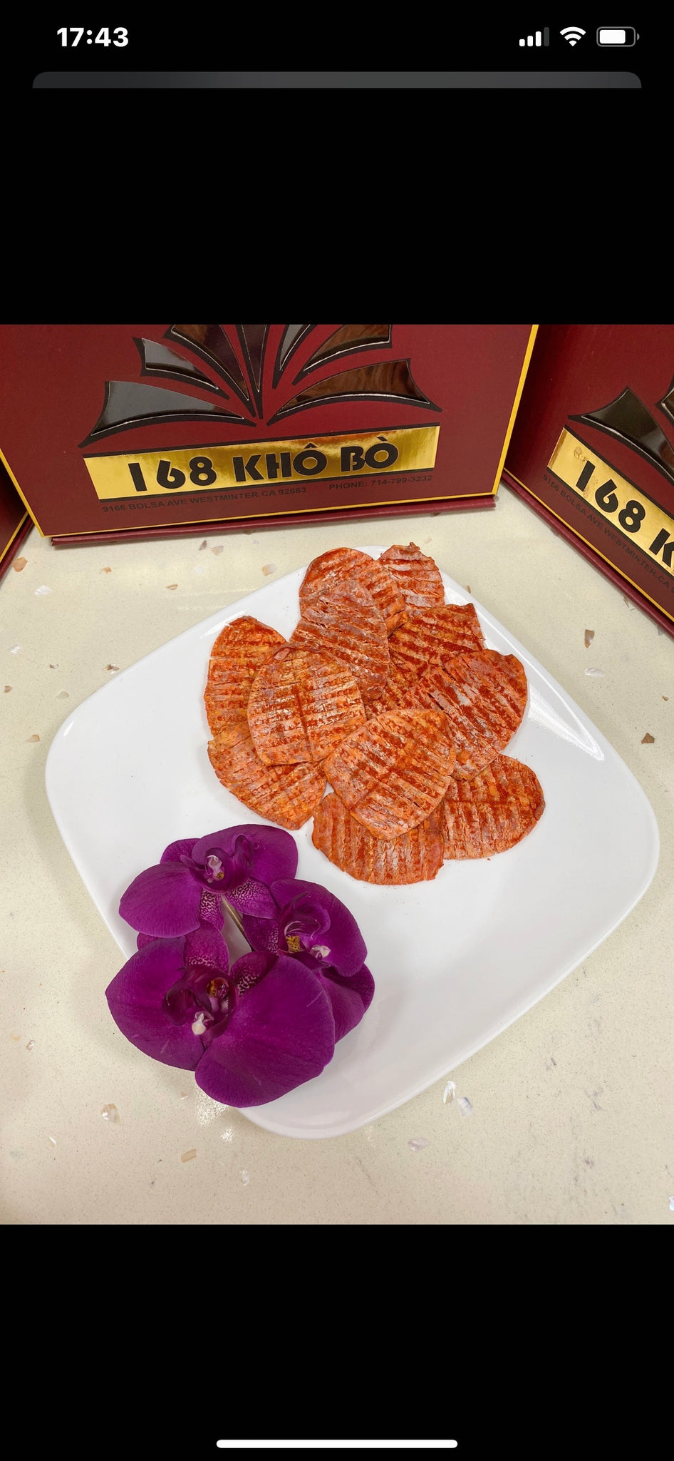 Mực con Không Đầu